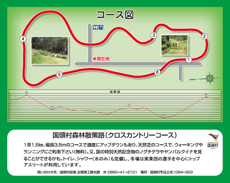 コース